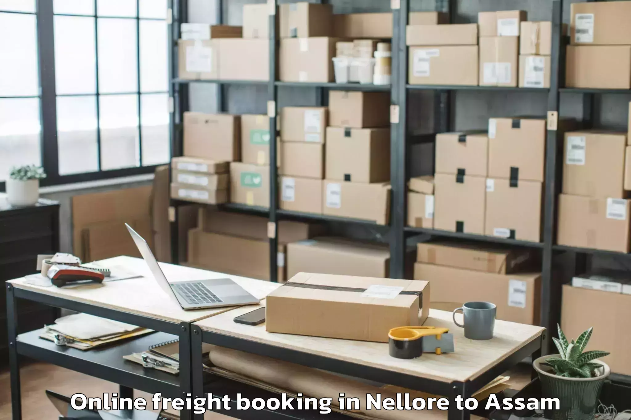 Leading Nellore to Guwahati University Online Freight Booking Provider